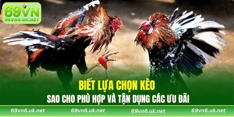 Biết lựa chọn kèo sao cho phù hợp và tận dụng các ưu đãi