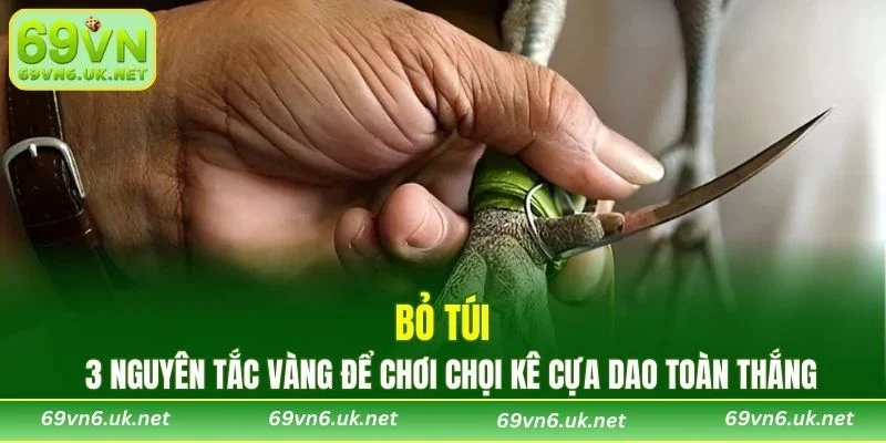 Bỏ túi 3 nguyên tắc vàng để chơi chọi kê cựa dao toàn thắng
