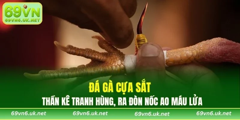 Đá Gà Cựa Sắt