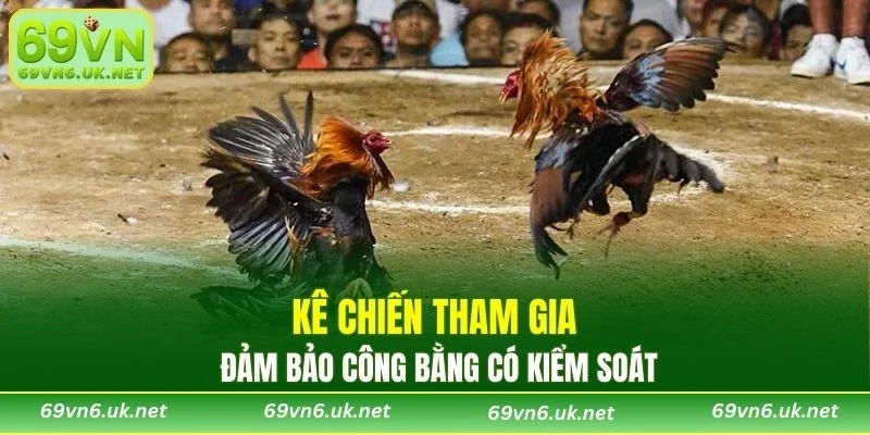 Kê chiến tham gia đảm bảo công bằng có kiểm soát