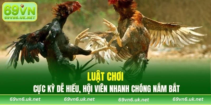 Luật chơi cực kỳ dễ hiểu, hội viên nhanh chóng nắm bắt