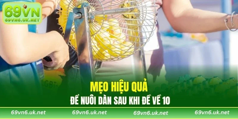 Mẹo hiệu quả để nuôi dàn sau khi đề về 10