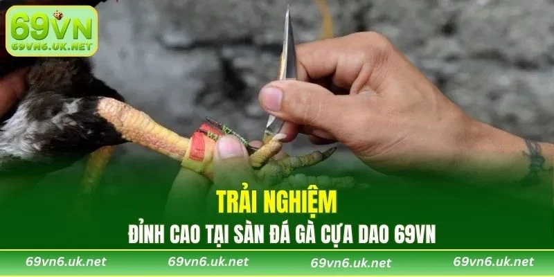 Trải nghiệm đỉnh cao tại sàn đá gà cựa dao 69VN